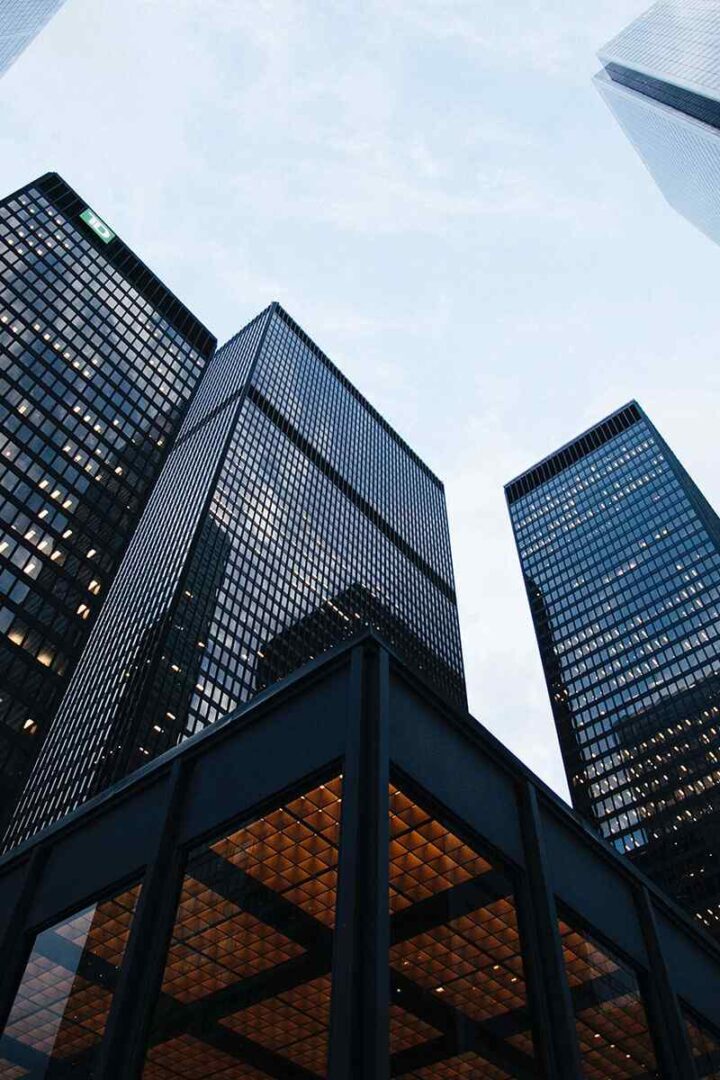 https://stabilityglobalsolutions.com/wp-content/uploads/2020/09/map-image-720x1080.jpg